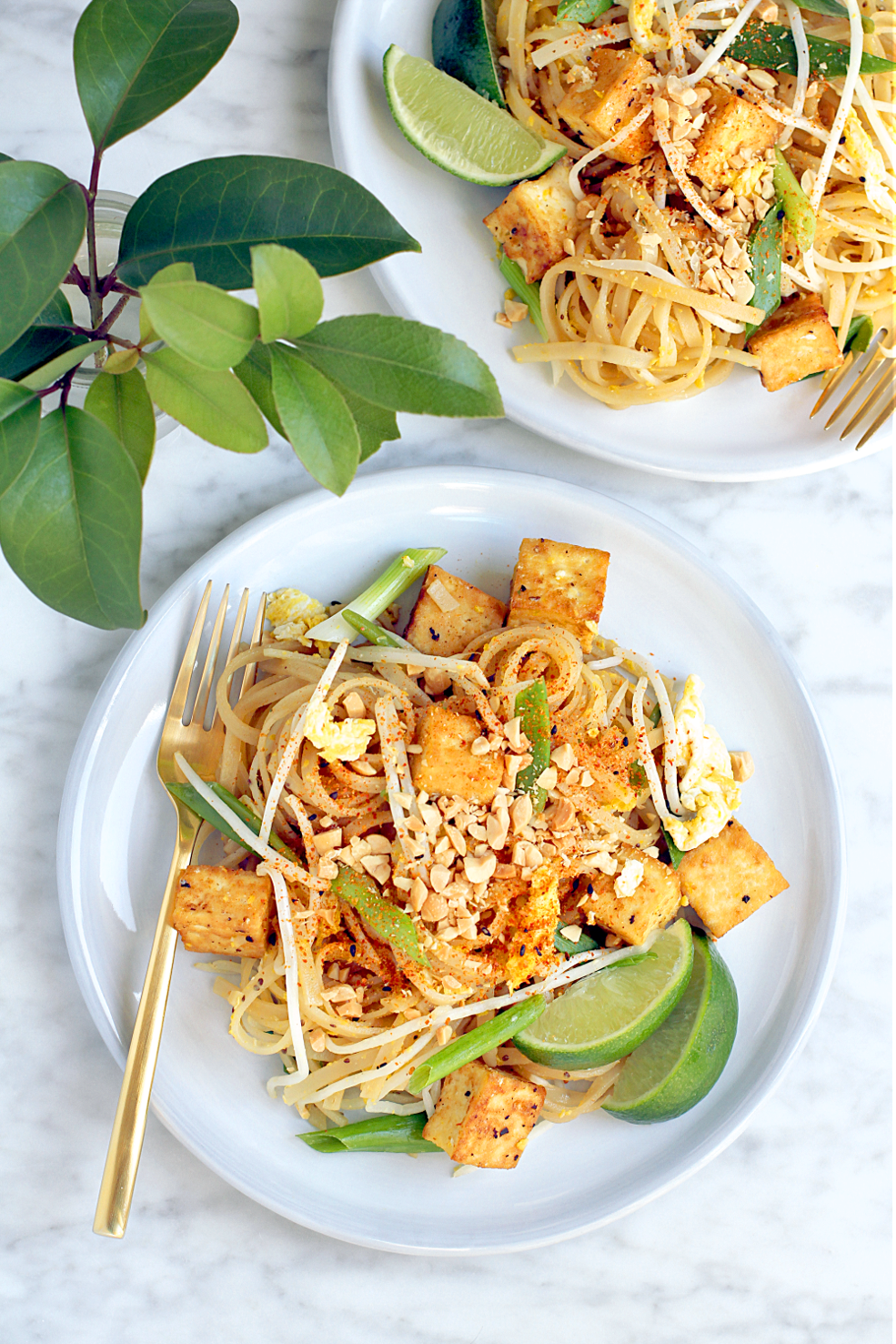 Pad Thai with Tofu - Two of Kind