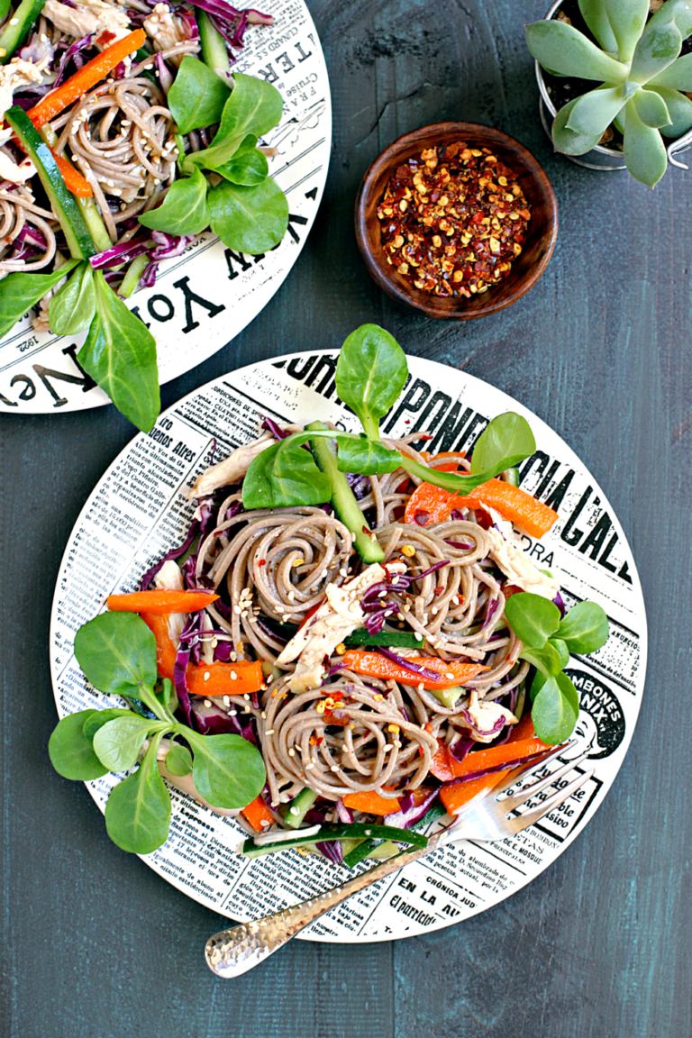 Soba Noodle Salad with Chicken and Vegetables - Two of a Kind